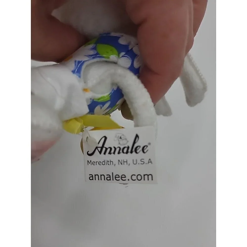 Annalee 6in Easter Boy Bunny Holding Easter Egg New with Tags 200810 Blue Vest